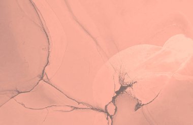 Pembe Soyut Özgeçmiş. Soyut boyama. Islak Sanat Yazıcısı. Suluboya deseni. Gül Alkol Mürekkebi Sanatı. Banner 'a su sıçrat. Sanatçı Alkol Mürekkebi. Gül suluboya dokusu. Mürekkep Graffiti.