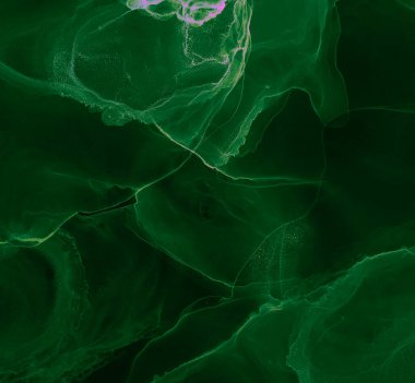 Yeşil Soyut Tasarım. Soyut boyama. Islak Sanat Yazıcısı. Suluboya doku. Banner 'a su sıçrat. Mürekkep Graffiti. Alkol Mürekkebi Örnekleri. Siyah suluboya baskı. Çiçek Alkol Mürekkebi Sanatı.