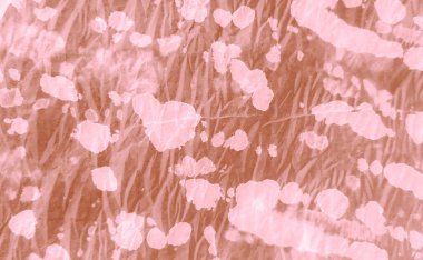 Soyut Sıçrama. Boya Yamalı Kravat. Klasik Kahverengi El Yapımı Kirli Sanat. Kirli Sanat Geçmişi. Quarelle dokusu. Suluboya Baskı. Otantik Fırça Sanatı. Suluboya deseni. Krem kravat boyalı gömlek..