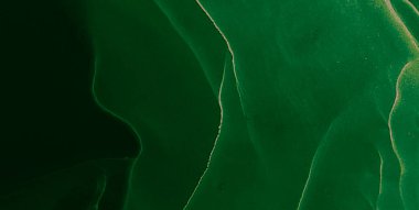 Siyah Soyut Arkaplan. Soyut Tasarım. Suluboya Baskı. Mürekkep Graffiti. Sanatçı Alkol Mürekkebi. Koyu yeşil suluboya deseni. Çiçek Alkol Mürekkebi Sanatı. Islak Sanat Yazıcısı. Soyut Sıçrama.