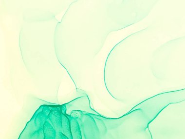 Turuncu Soyut Resim. Soyut arkaplan. Suluboya Baskı. Islak Sanat Yazıcısı. Koyu Yeşil Alkol Mürekkebi. Suluboya deseni. Mürekkep Graffiti. Banner 'a su sıçrat. Sanatçı Alkol Mürekkebi. Yeşil