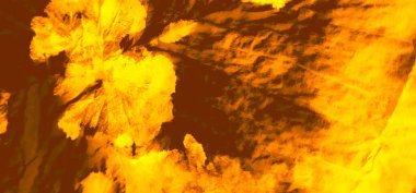 Suluboya Baskı. Banner 'a su sıçrat. Kara Kirli Sanat Ressamlığı. Kirli Sanat Arkaplanı. Suluboya deseni. Fırçalanmış Graffiti.Kravat boyası izi. Yeşil Islak Sanat Yazıcısı. Turuncu kravat boyası Grunge.