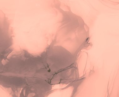 Gri Modern Sanat. Su taklidi. Suluboya doku. Islak Sanat Yazıcısı. Sanatsal Alkol Mürekkebi. Suluboya Baskı. Mürekkep Graffiti. Soyut Sıçrama. Alkol Mürekkebi Örnekleri. Mercan