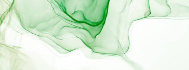 Yeşil Soyut Boyama. Soyut arkaplan. Suluboya doku. Suluboya Baskı. Mürekkep Graffiti. Banner 'a su sıçrat. Alkol Mürekkebi Örnekleri. Koyu Yeşil Islak Sanat Yazıcısı. Çiçek Sanatçısı Alkol Mürekkebi.