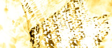 Beyaz Kirli Sanat Ressamlığı. Soyut Sıçrama. Suluboya Baskı. Islak Sanat Yazıcısı. Altın kravatlı boya yaması. Dişlerimi fırçaladım. Kravat boyası. Lüks Kova dokusu. Banner 'ı fırçaladım. Beyaz