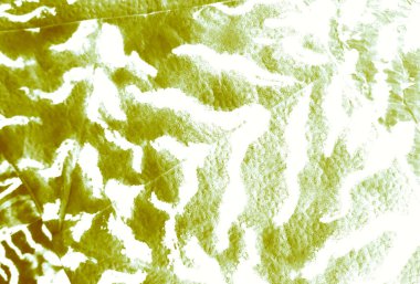 Işık Soyut Düzen. Soyut Kirli Sanat. Aquarelle dokusu. Banner 'ı fırçaladım. Dye Batik 'i bağla. Yeşil suluboya baskı. Banner 'a su sıçrat. Yeşil Islak Sanat Yazıcısı. Beyaz Kravat Boyalı Yama.