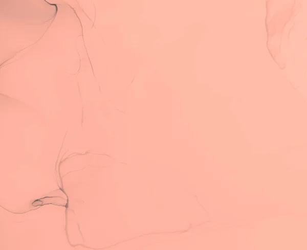 グレイ モダンアート 抽象的なデザイン 水彩プリント ぬれたアートプリント 概要スプラッシュ スプラッシュバナー アルコールインクパターン ローズ水彩テクスチャ グレイアルコールインク — ストック写真