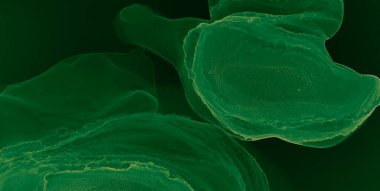 Çağdaş Sanat. Soyut arkaplan. Suluboya Baskı. Banner 'a su sıçrat. Alkol Mürekkebi Gömleği. Yeşil suluboya dokusu. Mürekkep Graffiti. Suluboya deseni. Siyah Alkol Mürekkebi Yazdır.