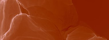 Kırmızı Ochre Soyut Tasarım. Modern sanat. Islak Sanat Yazıcısı. Suluboya doku. Karamelli Alkol Mürekkebi. Banner 'a su sıçrat. Alkol Mürekkebi Gömleği. Kırmızı suluboya deseni. Soyut Sıçrama.