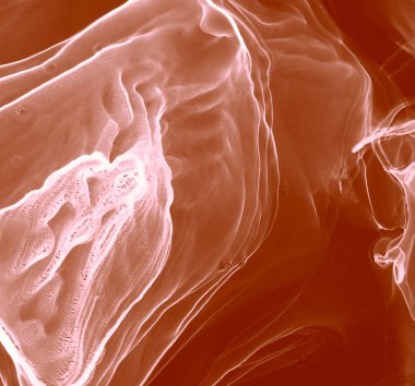 Pembe Modern Sanat. Soyut boyama. Suluboya deseni. Suluboya Baskı. Kırmızı Alkol Mürekkep Sanatı. Soyut Sıçrama. Sanatçı Alkol Mürekkebi. Kakao suluboya dokusu. Mürekkep Graffiti.