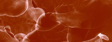 Karamel Modern Sanatı. Su taklidi. Islak Sanat Yazıcısı. Banner 'a su sıçrat. Alkol Mürekkebi Örnekleri. Kırmızı Ochre Suluboya dokusu. Pembe Sanatsal Alkol Mürekkebi. Suluboya deseni. Soyut Sıçrama.