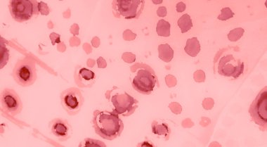 Rosy Dirty Art Arkaplanı. Kirli Sanat Ressamlığı. Islak Sanat Yazıcısı. Banner 'ı fırçaladım. Boya yamalı kravat. Parlak Kova dokusu. Dişlerimi fırçaladım. Açık pembe suluboya baskı. Pembe Kravat Boyası Yazdırma.