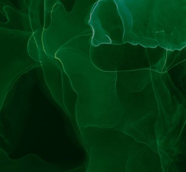 Yeşil Su Taklidi. Soyut Tasarım. Islak Sanat Yazıcısı. Suluboya Baskı. Siyah Alkol Mürekkebi. Soyut Sıçrama. Alkol Mürekkebi Sanatı. Çiçekli suluboya dokusu. Flama SancağıName.