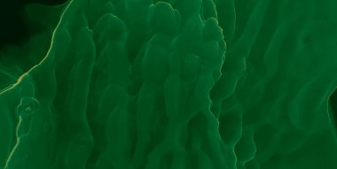 Koyu yeşil soyut resim. Modern sanat. Suluboya deseni. Islak Sanat Yazıcısı. Yeşil Alkol Mürekkebi Yazdır. Suluboya doku. Mürekkep Graffiti. Soyut Sıçrama. Sanatçı Alkol Mürekkebi. Siyah