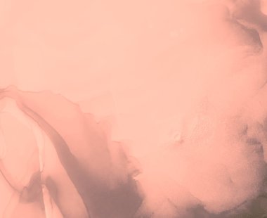 Gül Çağdaş Sanat. Soyut arkaplan. Suluboya doku. Suluboya deseni. Pembe Sanatsal Alkol Mürekkebi. Mürekkep Graffiti. Alkol Mürekkebi Gömleği. Mercan Islak Sanat Yazısı. Soyut Sıçrama.