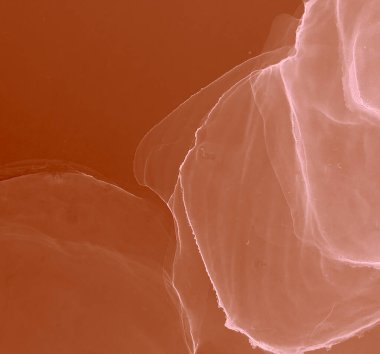 Kırmızı Modern Sanat. Soyut arkaplan. Suluboya Baskı. Suluboya deseni. Ochre Alkol Mürekkebi Sanatı. Mürekkep Graffiti. Alkol Mürekkebi Örnekleri. Kakao Islak Sanat Yazısı. Flama SancağıName.