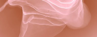 Kırmızı Çağdaş Sanat. Soyut arkaplan. Suluboya Baskı. Mürekkep Graffiti. Alkol Mürekkebi Gömleği. Kakao Kahverengi Suluboya Doku. Soyut Sıçrama. Suluboya deseni. Pembe Sanatsal Alkol Mürekkebi.