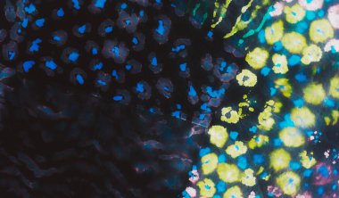 Siyah Soyut Sıçrama. Soyut Kirli Sanat. Islak Sanat Yazıcısı. Aquarelle dokusu. Banner 'ı fırçaladım. Çok renkli suluboya baskı. Mavi kravat boyalı batik. Asit Sıçrayan Sancak. Boya yamalı kravat. Mor