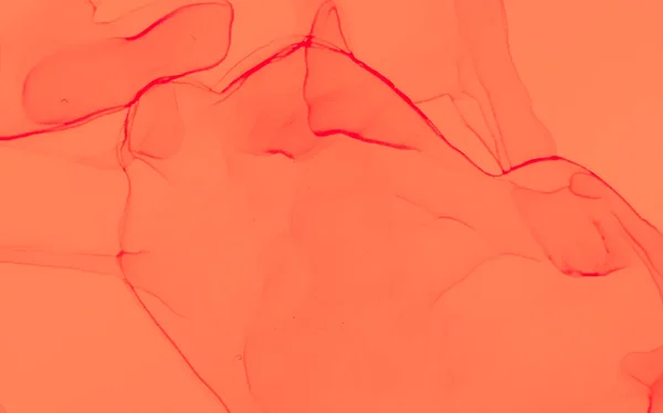 コーラル モダンアート 現代美術 水彩パターン ぬれたアートプリント スプラッシュバナー 水彩プリント レッドアルコールインクプリント 芸術的なアルコールインク オレンジ — ストック写真