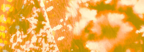 Мультикольоровий Брудний Живопис Абстрактне Брудне Мистецтво Aquarelle Texture Watercolor Print — стокове фото