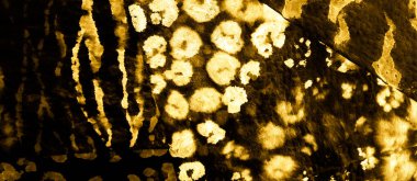 Altın Soyut Kirli Sanat. Kirli Sanat Ressamlığı. Islak Sanat Yazıcısı. Aquarelle dokusu. Lüks kravat boyama yaması. Suluboya Baskı. Banner 'ı fırçaladım. Parlak Asit Sıçratma Pankartı. Dye Batik 'i bağla. Parlak