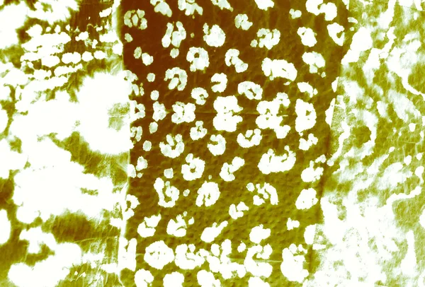 绿色肮脏艺术背景 湿法艺术印刷品 水彩印刷 刷横幅 绿色水族纹理 白色领带 Dye Batik 飞溅银行家 领带染料印花 — 图库照片