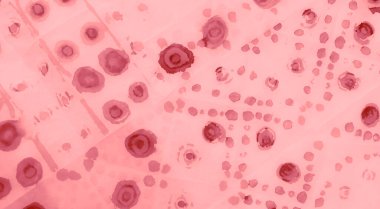 Pembe Kirli Sanat Arkaplanı. Sanatsal Kirli Sanat. Suluboya Baskı. Banner 'a su sıçrat. Boya yamalı kravat. Açık pembe akvaryum dokusu. Dişlerimi fırçaladım. Parlak Islak Sanat Yazıcısı. Kırmızı Kravat Boyası Yazdırma.