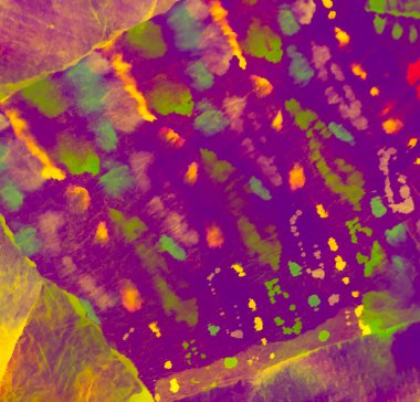 Mor Kirli Sanat Arkaplanı. Sanatsal Kirli Sanat. Suluboya Baskı. Islak Sanat Yazıcısı. Neon Tie Boya Yamalı. Banner 'ı fırçaladım. Kravat boyası. Parlak Kova dokusu. Dişlerimi fırçaladım. Mor