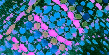 Mor Kirli Sanat Arkaplanı. Soyut Sıçrama. Suluboya Baskı. Islak Sanat Yazıcısı. Koyu yeşil kravat boyası. Aquarelle dokusu. Banner 'ı fırçaladım. Yeşil Asit Sıçrayan Sancak. Kravat boyası baskısı. Mavi