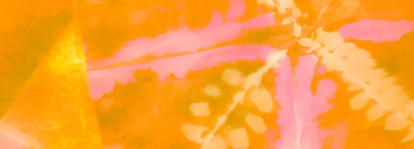 Яскравий Абстракт Сплеш Брудний Живопис Вологий Художній Принт Aquarelle Texture — стокове фото