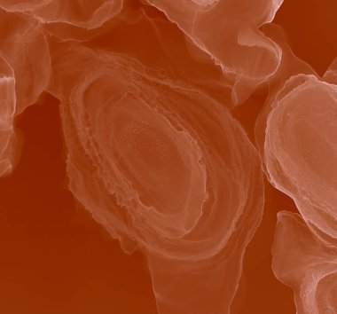 Kakao Modern Sanatı. Su taklidi. Suluboya doku. Mürekkep Graffiti. Sanatçı Alkol Mürekkebi. Kahverengi suluboya deseni. Pembe Alkol Mürekkebi Sanatı. Islak Sanat Yazıcısı. Flama SancağıName.