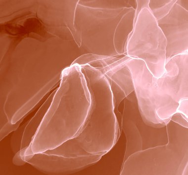 Ochre Soyut Tasarım. Su taklidi. Suluboya Baskı. Suluboya deseni. Soyut Sıçrama. Banner 'a su sıçrat. Sanatçı Alkol Mürekkebi. Pembe Islak Sanat Yazısı. Kakao Alkol Mürekkep Gömleği.