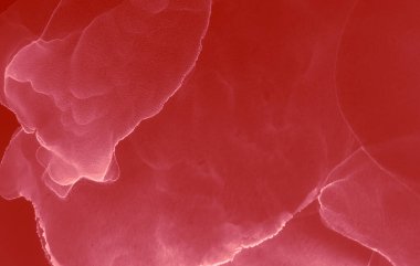 Kırmızı Soyut Boyama. Modern sanat. Suluboya deseni. Islak Sanat Yazıcısı. Banner 'a su sıçrat. Suluboya doku. Pembe Alkol Mürekkep Gömleği. Soyut Sıçrama. Sanatçı Alkol Mürekkebi. Kırmızı Ochre