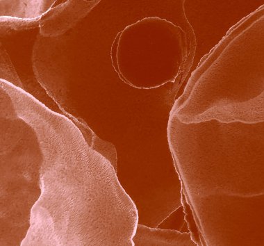 Kahverengi Kahverengi Soyut Arkaplan. Çağdaş Sanat. Suluboya doku. Suluboya Baskı. Kırmızı Alkol Mürekkep Gömleği. Suluboya deseni. Mürekkep Graffiti. Soyut Sıçrama. Alkol Mürekkebi Sanatı. Pembe.