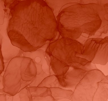 Kırmızı Ochre Soyut Boyama. Modern sanat. Suluboya deseni. Suluboya Baskı. Banner 'a su sıçrat. Suluboya doku. Krem Alkol Mürekkep deseni. Mürekkep Graffiti. Alkol Mürekkebi Sanatı. Pembe.