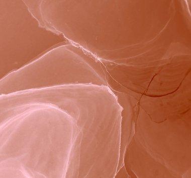 Pembe Soyut Özgeçmiş. Su taklidi. Suluboya deseni. Suluboya Baskı. Banner 'a su sıçrat. Suluboya doku. Ochre Artistik Alkol Mürekkebi. Mürekkep Graffiti. Alkol Mürekkebi Örnekleri. Kakao