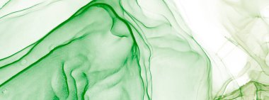 Yeşil Soyut Özgeçmiş. Su taklidi. Suluboya deseni. Islak Sanat Yazıcısı. Banner 'a su sıçrat. Suluboya doku. Derin Yeşil Sanatsal Alkol Mürekkebi. Mürekkep Graffiti. Alkol Mürekkebi Yazdır. Çiçek.