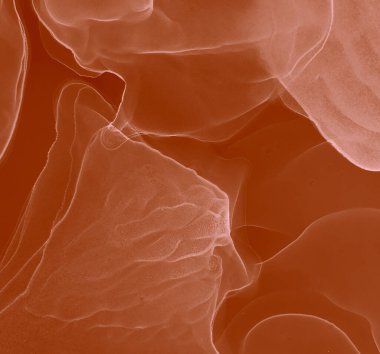 Ochre Water taklidi. Soyut arkaplan. Suluboya Baskı. Soyut Sıçrama. Alkol Mürekkebi Sanatı. Kakao suluboya deseni. Banner 'a su sıçrat. Islak Sanat Yazıcısı. Kırmızı Alkol Mürekkebi Deseni.