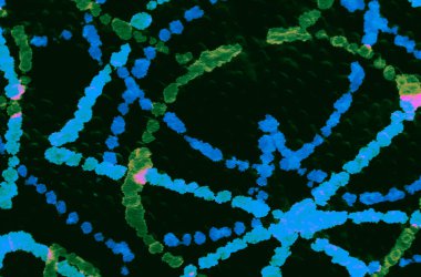 Banner 'ı fırçaladım. Tye Die Print. Yeşil Islak Sanat Yazıcısı. Banner 'a su sıçrat. Mavi Kova dokusu. Koyu kravat boyası. Koyu Yeşil Kirli Resim. Sanatsal Kirli Sanat. Suluboya Yazdırma.