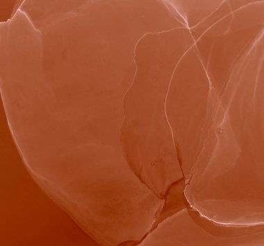 Çağdaş Kakao Sanatı. Soyut Tasarım. Suluboya Baskı. Islak Sanat Yazıcısı. Banner 'a su sıçrat. Suluboya doku. Ochre Alkol Mürekkebi Deseni. Mürekkep Graffiti. Sanatçı Alkol Mürekkebi. Kırmızı