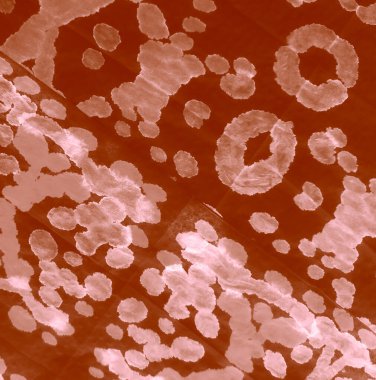 Dişlerimi fırçaladım. Dye Batik 'i bağla. Kahverengi suluboya deseni. Kremalı kravat boyası. Aquarelle dokusu. Otantik Fırça Sanatı. Vintage Dirty Art Painting. Pis Art Grunge. Islak Resim Yazdırma.