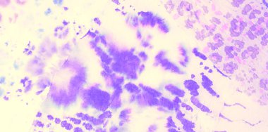 Krem Kirli Sanat Arkaplanı. Soyut Sıçrama. Suluboya Baskı. Dişlerimi fırçaladım. Kravat boyası baskısı. Açık Mor Kova dokusu. Banner 'ı fırçaladım. Pembe Islak Sanat Yazısı. Mor kravat boyası Batik..