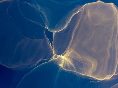 Siyah Soyut Arkaplan. Soyut boyama. Suluboya deseni. Islak Sanat Yazıcısı. Mürekkep Graffiti. Soyut Sıçrama. Alkol Mürekkebi Örnekleri. İndigo Suluboya Baskı. Koyu Mavi Alkol Mürekkebi Sanatı.