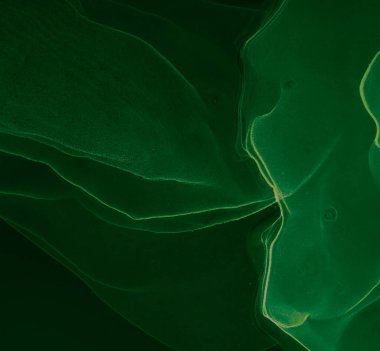 Koyu Yeşil Çağdaş Sanat. Soyut boyama. Suluboya doku. Mürekkep Graffiti. Alkol Mürekkebi Gömleği. Kara Islak Sanat Yazıcısı. Çiçek Alkol Mürekkebi deseni. Suluboya Baskı. Soyut Sıçrama.