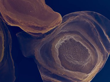 Koyu mavi soyut arka plan. Su taklidi. Suluboya doku. Suluboya deseni. Banner 'a su sıçrat. Soyut Sıçrama. Alkol Mürekkebi Sanatı. Altın Islak Sanat Yazısı. Mavi Sanatsal Alkol Mürekkebi.