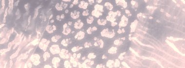 Kahve Sanatçısı Kirli Sanatlar. Kirli Sanat Arkaplanı. Islak Sanat Yazıcısı. Dişlerimi fırçaladım. Kravat boyası baskısı. Kahverengi Kova deseni. Kremalı kravat boyalı batik. Suluboya Baskı. Banner 'ı fırçaladım. Kahve.