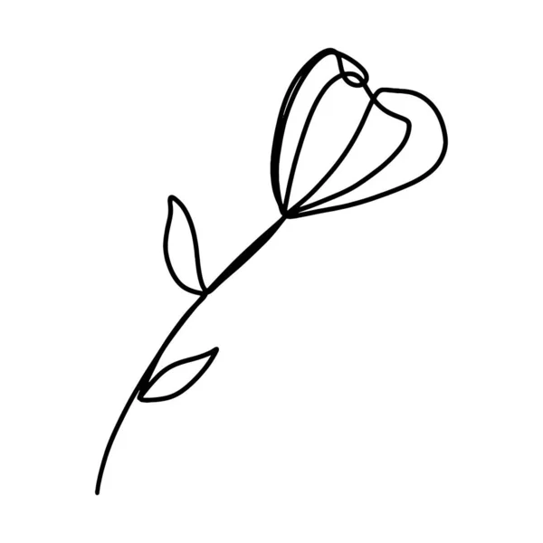Beyaz arka planda izole edilmiş karalama tarzı vektör illüstrasyonunda bir çizgi çizilmiş lale. Baskı, poster, duvar sanatı için minimalist sanat.