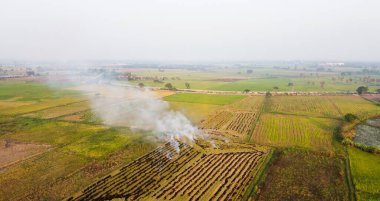 Yanan pirinç tarlalarından çıkan dumanın hava manzarası, hava kirliliği, toz sorunu.