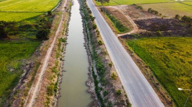 Çeltik pirinç tarlasının havadan görünüşü ve Tayland 'daki kuraklık sorunları.