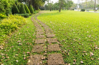 Güzel halk parkındaki patika.